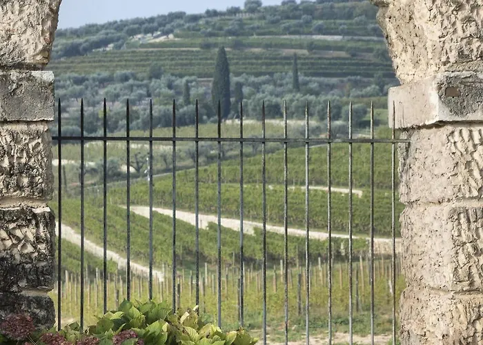 Della Torre